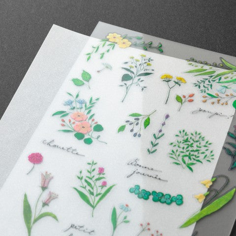 Midori Transfer Sticker