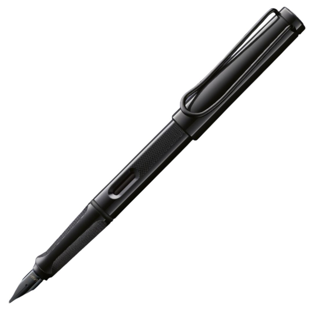 Lamy Safari Meteorite
