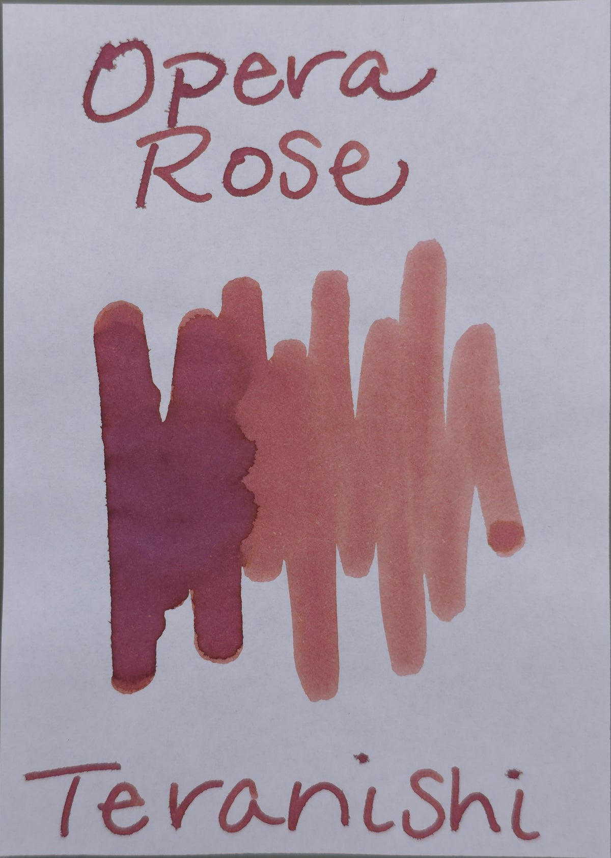 Teranishi Guitar Taisho Romantic Bottle Ink - Opera Rose
